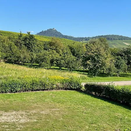 Apartman Reblandblick *