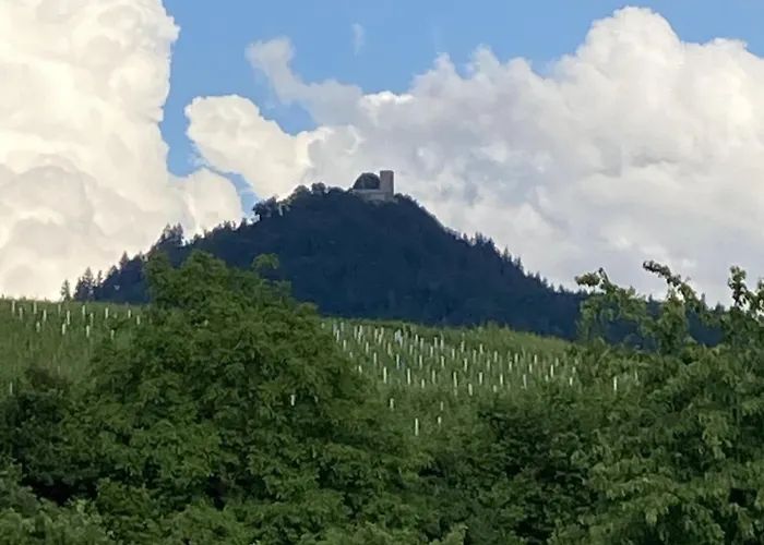 Reblandblick